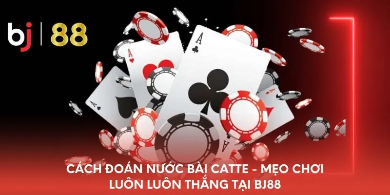 cach-doan-nuoc-bai-catte-meo-choi-luon-luon-thang-tai-bj88