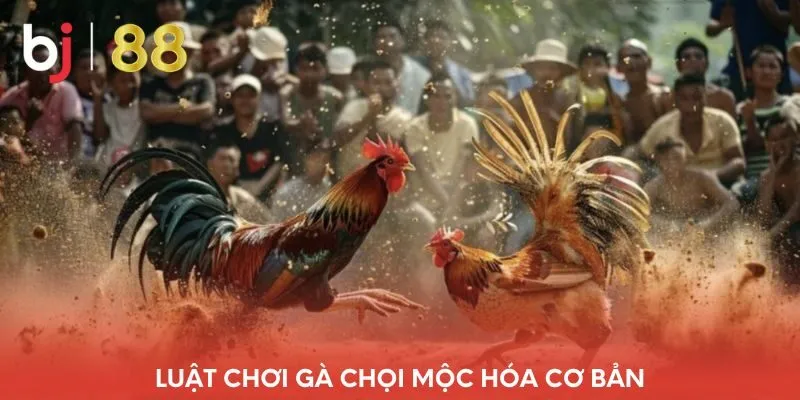 luat-choi-ga-choi-moc-hoa-co-ban