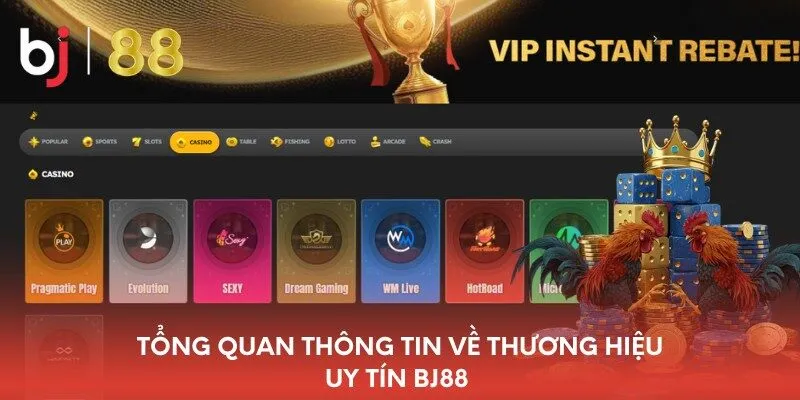 tong-quan-thong-tin-ve-thuong-hieu-uy-tin-bj88
