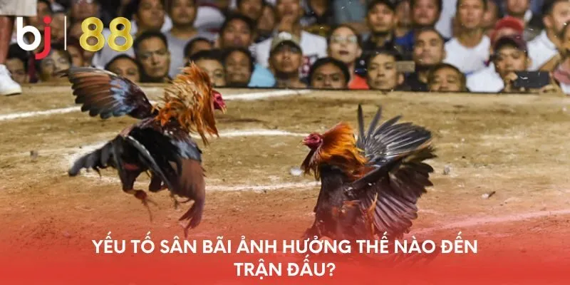 yeu-to-san-bai-anh-huong-the-nao-den-tran-dau