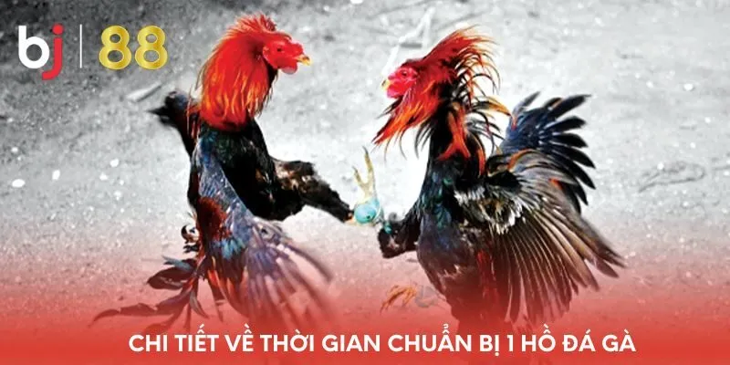 chi-tiet-ve-thoi-gian-chuan-bi-1-ho-da-ga