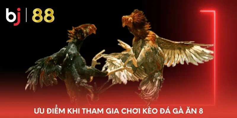 uu-diem-khi-tham-gia-choi-keo-da-ga-an-8